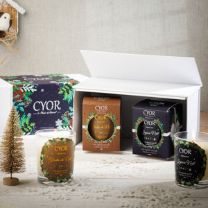 coffret cadeau joyeux noël bûche de noël