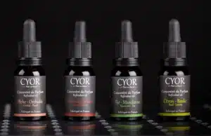 concentré de parfum pour diffuseur électrique ou brûle parfum